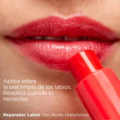 Reparador Labial Stick Rojo, 4 g. - Isdin