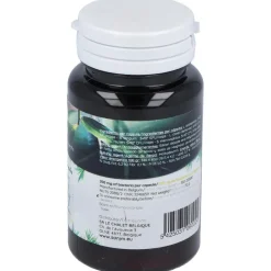 San Probiotic Human Specific Ferment 60Cáps
