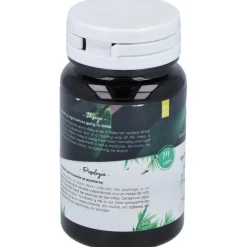 San Probiotic Human Specific Ferment Femina 14Cáps