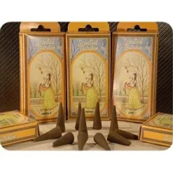 Scented Garden Natural Cono Incienso 12uds - Radhe Shyam