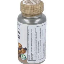 Solaray Chaga Fermented 500Mg 60Caps