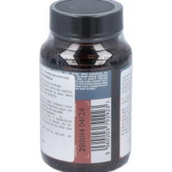 Terranova Córdiceps 500 Mg (Cordyceps Sinensis) 50 Cápsulas