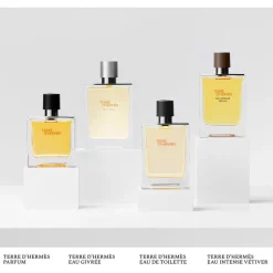 Terre D'hermès Parfum Vaporizador 75 ml - Herms
