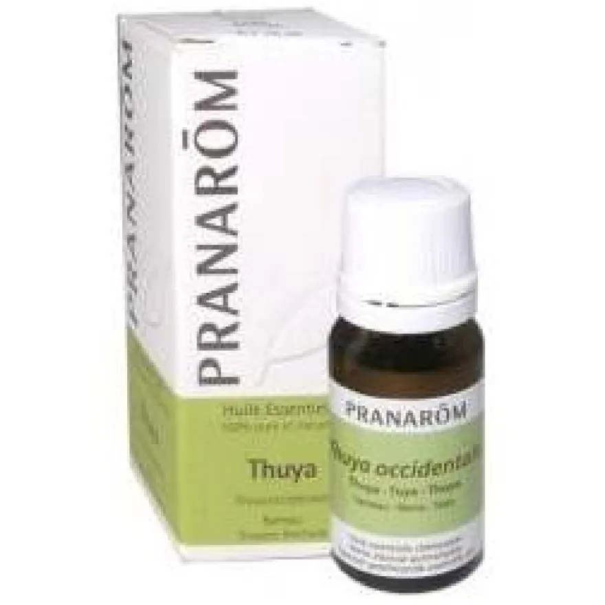 Thuya Occidentalis Aceite Esencial 10Ml.