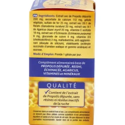 Tongil Apicol Própolis 40Caps