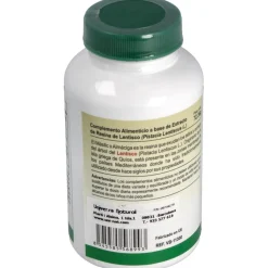 Vbyotics Mastic Gum Extracto De Resina De Lentisco 120Caps