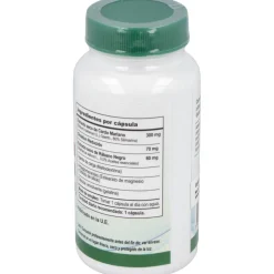 Vbyotics Mega Silymarin 240 Y Glutation 100Caps