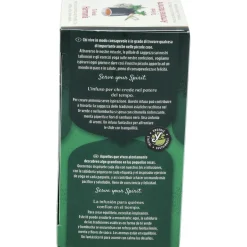 Verde Armonia 17infusiones - Yogi Tea