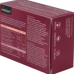 Vitalart Levadura De Arroz Rojo Con Q10 60Comp.