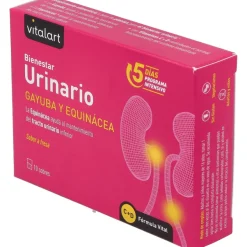 Vitalart Vitalart Bienestar Urinario 10 Sobres