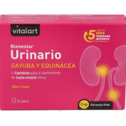 Vitalart Vitalart Bienestar Urinario 10 Sobres