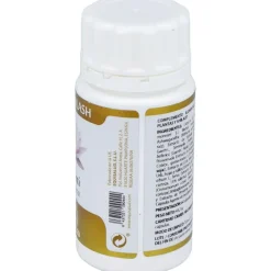 Yoga Kalash Shanti Paz Mental 60Cap.